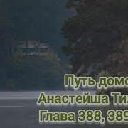 Путь Домой Анастейша Тиллман 388