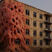 Эта Жуткая Находка В