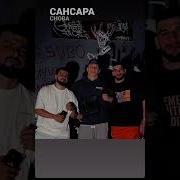 Macan A V G