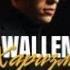 Wallem Харизма Sugar Music 2024
