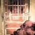 Left 4 Dead 2 Custom Tank Music Piranha 3D End Credits Music