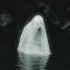 Very Creepy Song Darkwave Witch House Dark Music