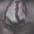 Don T Be Afraid Horrormusic Horror Halloweensongs Spooky Scarymusic Scary