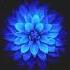 Stan Kolev Ajanma Original Mix Outta Limits
