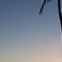 Sunset Beach House Music 2012