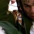 6IX9INE BOUJEE Ft Tyga Offset 21 Savage Official Video