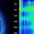 MUST SEE Schumann Resonance HITS Power 31 Earth S Frequency Just SPIKED Are YOU Feeling It