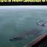 Leviathan The Horror Themed Music Video That Will Haunt You