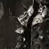 Horror Sounds Devil Hauntedcastle Horrorclip Cursedcastle Undergroundestate Gothic Aimusic